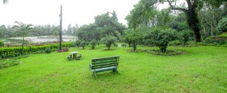Arabidacool Garden - Arabidacool Bungalow Arabidacool Garden at Arabidacool Bungalow