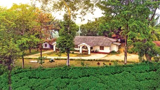 Tata Coffee Plantations in Coorg near amã Stays & Trails