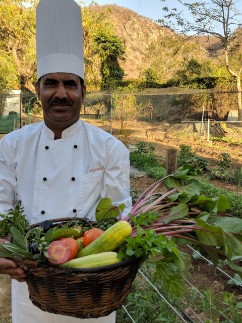 Lush Garden at Ramgarh Lodge, IHCL SeleQtions Lush garden at Ramgarh Lodge, IHCL SeleQtions, ideal for an organic farm tour near Jaipur.
