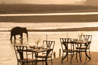 Riverside Dinner at Meghauli Serai, A Taj Safari- Chitwan National Park Riverside Dinner at Meghauli Serai, A Taj Safari- Chitwan National Park