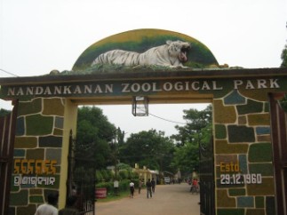 alternate text for image