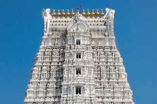 alternate text for image