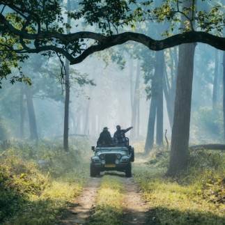 IHCL Experiences - Game Drives alternate text for image