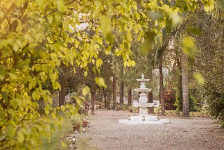 Garden at Jaagir Manor, Dudhwa Beautifully maintained garden at Jaagir Manor, Dudhwa, offering a peaceful space for relaxation, highlighting the best hotels in Dudhwa.