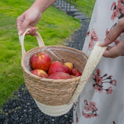 IHCL Experiences - Fruit Plucking alternate text for image