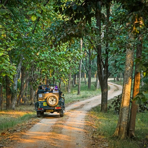 Jeep Safari at Baghvan
