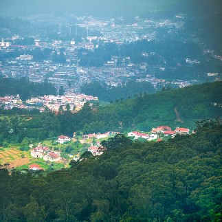 Savoy, Ooty - Things to do in Ooty-148