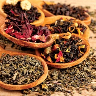 Savoy, Ooty - Things to do in Ooty-152