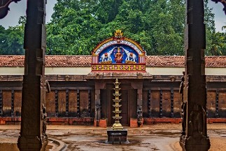 alternate text for image